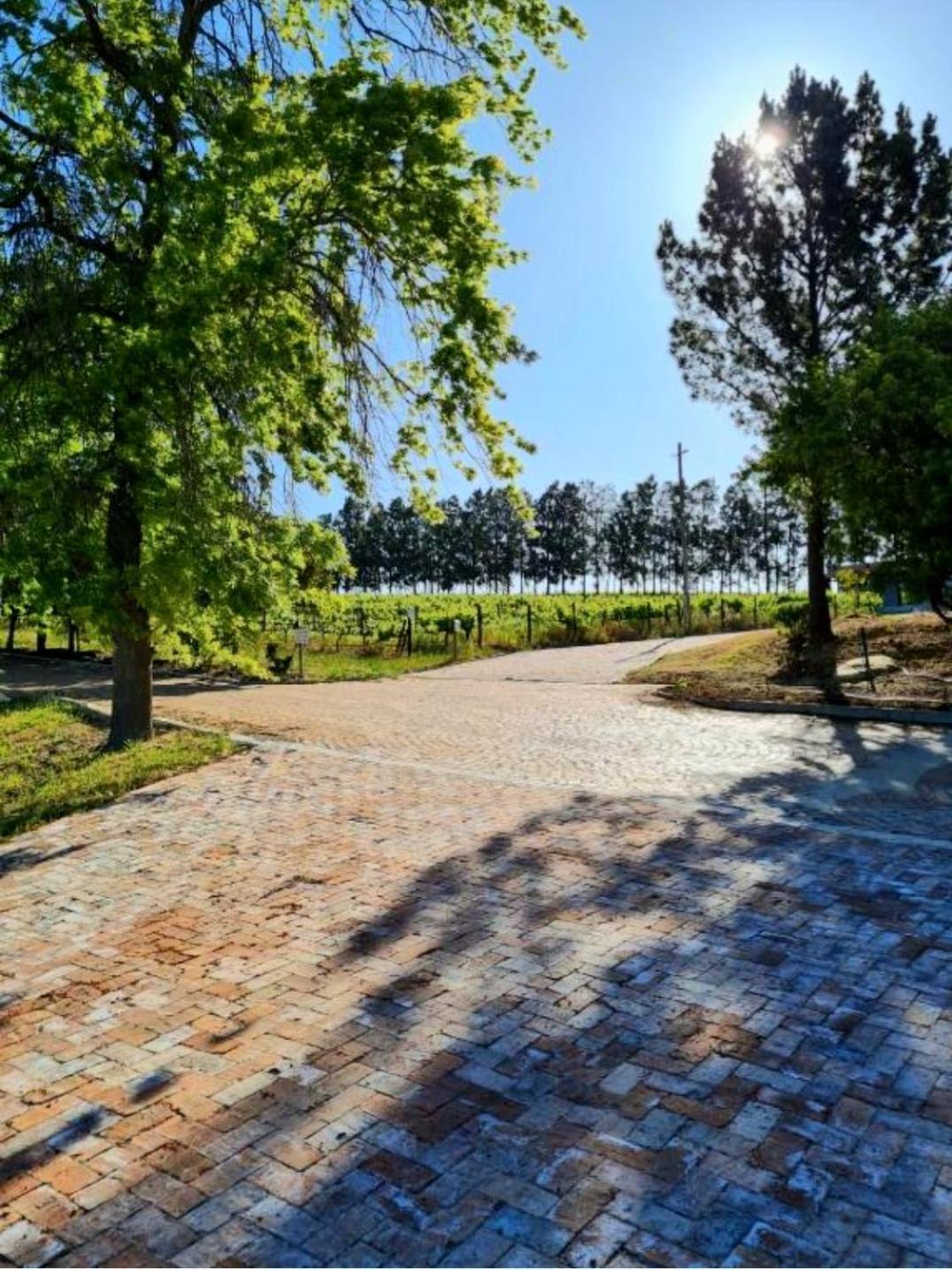 Mon Reve Estate * Cape Town